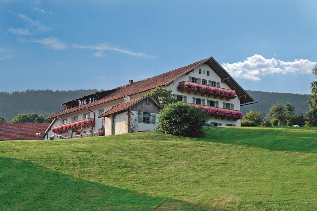 فندق Wild-Berghof Buchet بِرنريد المظهر الخارجي الصورة
